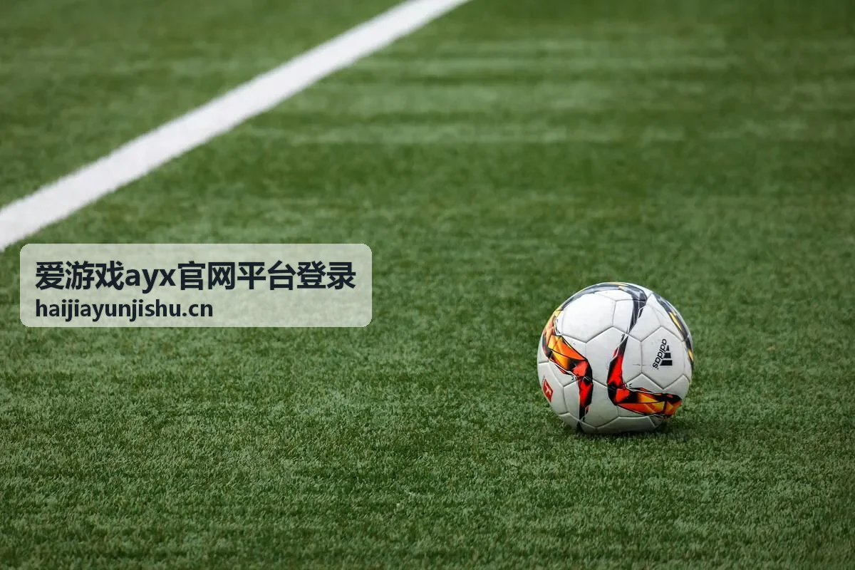 爱游戏ayx官网平台登录双重验证服务