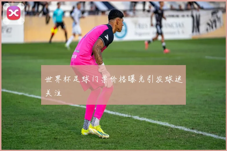 世界杯足球门票价格曝光引发球迷关注