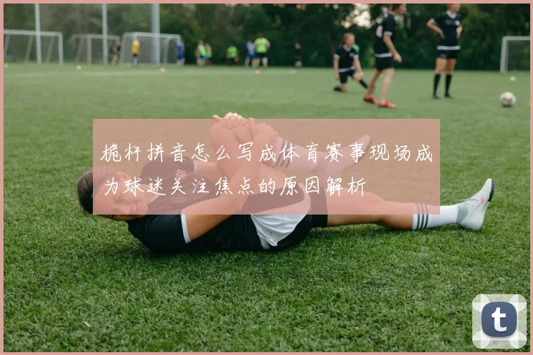 桅杆拼音怎么写成体育赛事现场成为球迷关注焦点的原因解析