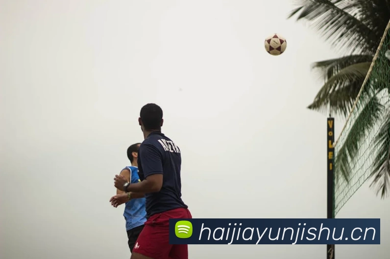 App Interface Preview